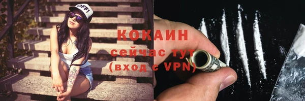 меф Ельня