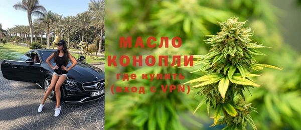 меф Ельня