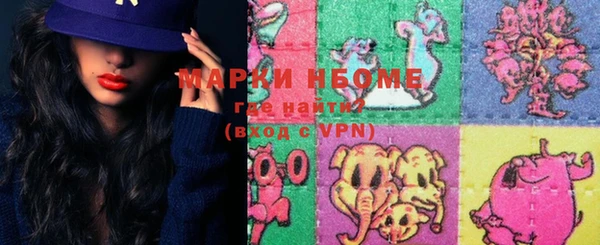 меф Ельня