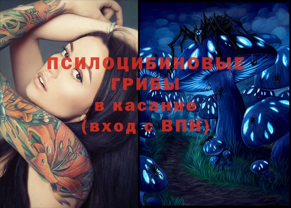 меф Ельня